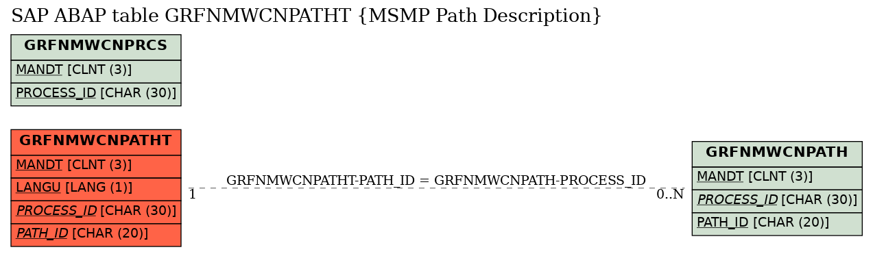 E-R Diagram for table GRFNMWCNPATHT (MSMP Path Description)