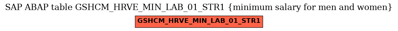 E-R Diagram for table GSHCM_HRVE_MIN_LAB_01_STR1 (minimum salary for men and women)