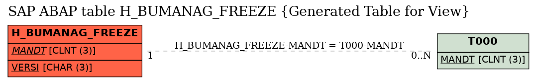 E-R Diagram for table H_BUMANAG_FREEZE (Generated Table for View)