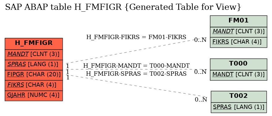 E-R Diagram for table H_FMFIGR (Generated Table for View)