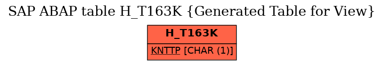 E-R Diagram for table H_T163K (Generated Table for View)