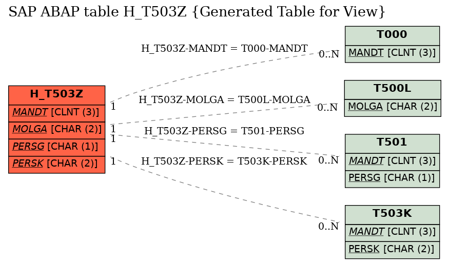 E-R Diagram for table H_T503Z (Generated Table for View)