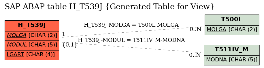 E-R Diagram for table H_T539J (Generated Table for View)