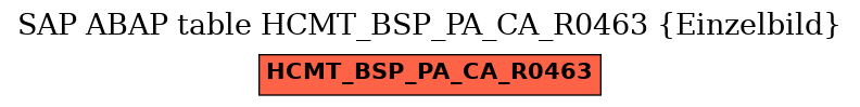 E-R Diagram for table HCMT_BSP_PA_CA_R0463 (Einzelbild)