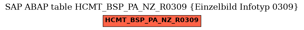 E-R Diagram for table HCMT_BSP_PA_NZ_R0309 (Einzelbild Infotyp 0309)