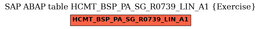 E-R Diagram for table HCMT_BSP_PA_SG_R0739_LIN_A1 (Exercise)