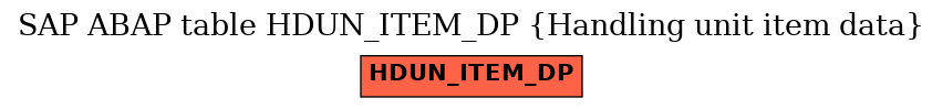 E-R Diagram for table HDUN_ITEM_DP (Handling unit item data)