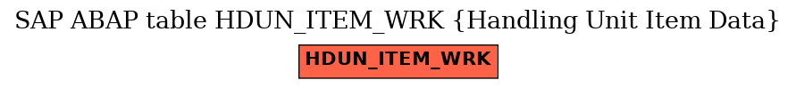 E-R Diagram for table HDUN_ITEM_WRK (Handling Unit Item Data)