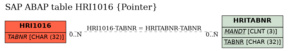 E-R Diagram for table HRI1016 (Pointer)