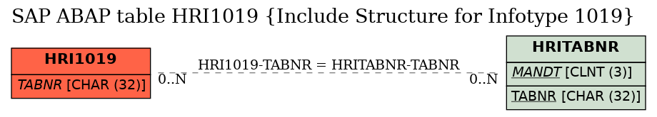 E-R Diagram for table HRI1019 (Include Structure for Infotype 1019)