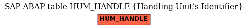 E-R Diagram for table HUM_HANDLE (Handling Unit's Identifier)
