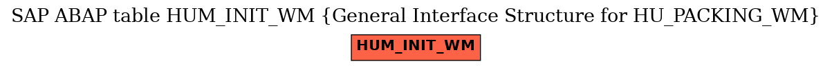 E-R Diagram for table HUM_INIT_WM (General Interface Structure for HU_PACKING_WM)