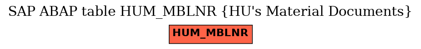E-R Diagram for table HUM_MBLNR (HU's Material Documents)