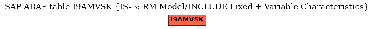 E-R Diagram for table I9AMVSK (IS-B: RM Model/INCLUDE Fixed + Variable Characteristics)