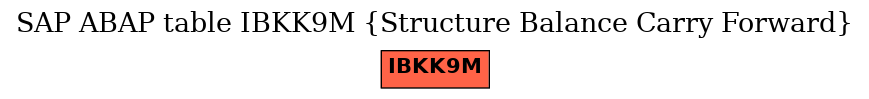 E-R Diagram for table IBKK9M (Structure Balance Carry Forward)