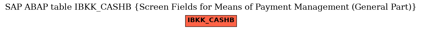 E-R Diagram for table IBKK_CASHB (Screen Fields for Means of Payment Management (General Part))