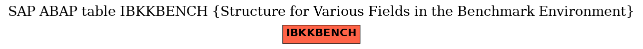 E-R Diagram for table IBKKBENCH (Structure for Various Fields in the Benchmark Environment)