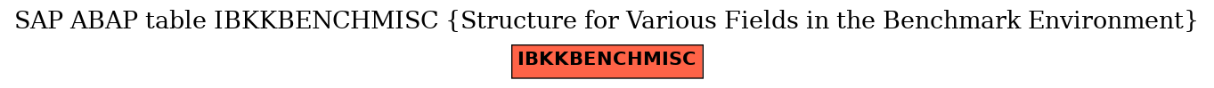 E-R Diagram for table IBKKBENCHMISC (Structure for Various Fields in the Benchmark Environment)