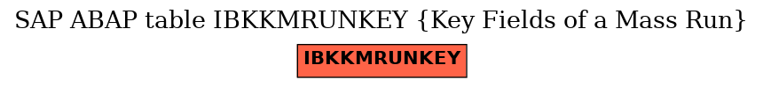 E-R Diagram for table IBKKMRUNKEY (Key Fields of a Mass Run)