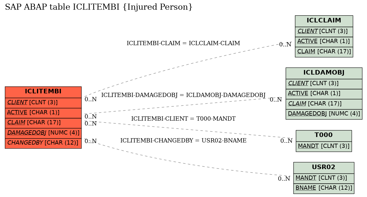 E-R Diagram for table ICLITEMBI (Injured Person)