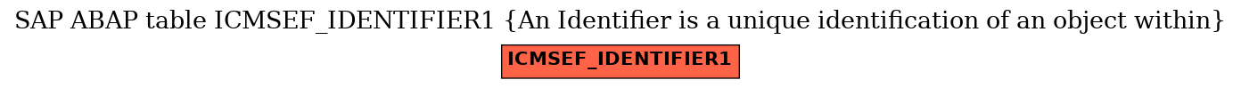 E-R Diagram for table ICMSEF_IDENTIFIER1 (An Identifier is a unique identification of an object within)
