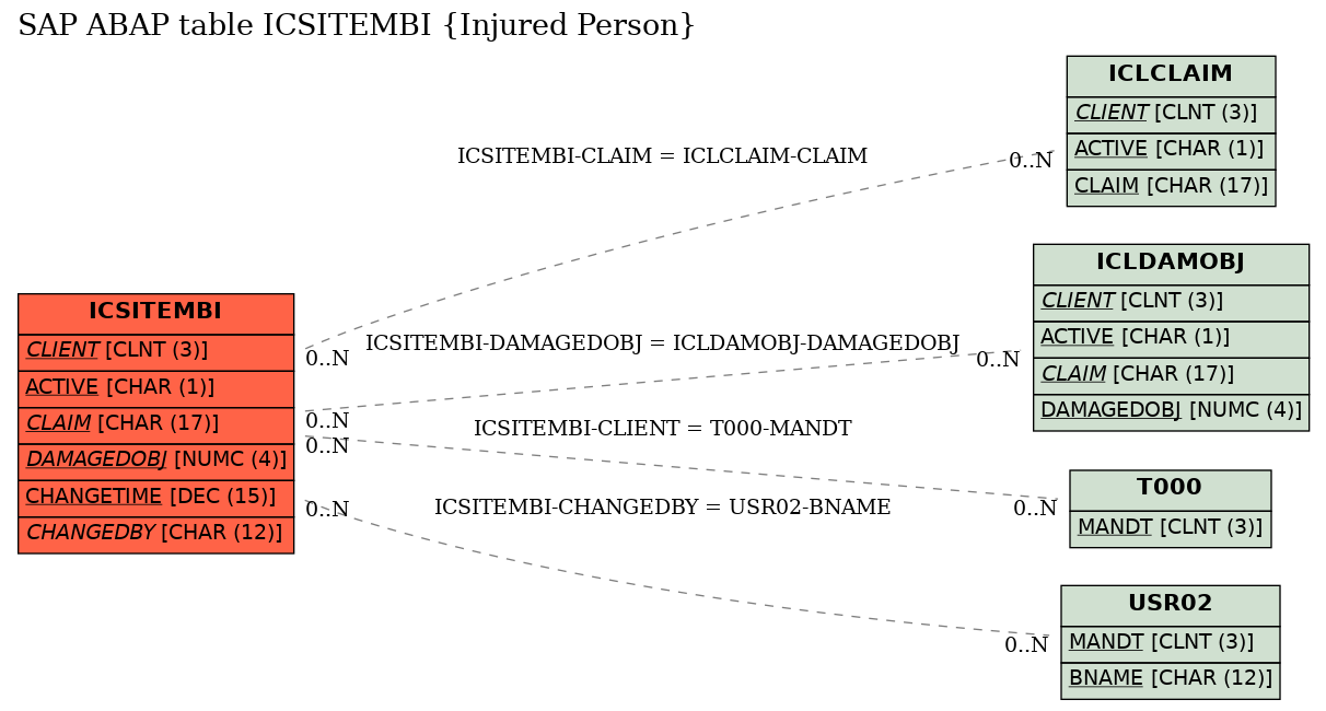 E-R Diagram for table ICSITEMBI (Injured Person)