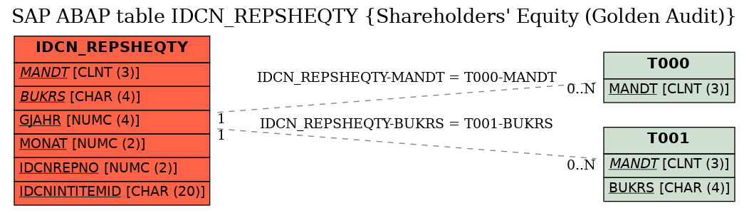 E-R Diagram for table IDCN_REPSHEQTY (Shareholders' Equity (Golden Audit))