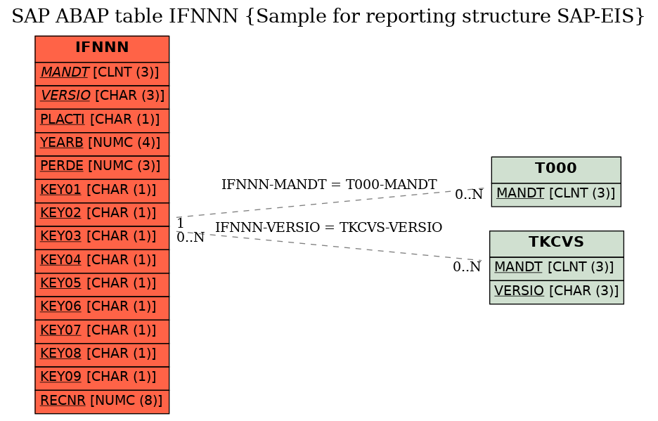 E-R Diagram for table IFNNN (Sample for reporting structure SAP-EIS)