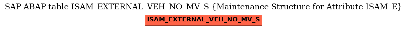 E-R Diagram for table ISAM_EXTERNAL_VEH_NO_MV_S (Maintenance Structure for Attribute ISAM_E)