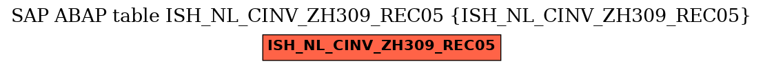 E-R Diagram for table ISH_NL_CINV_ZH309_REC05 (ISH_NL_CINV_ZH309_REC05)