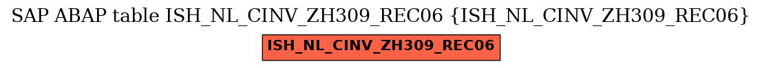 E-R Diagram for table ISH_NL_CINV_ZH309_REC06 (ISH_NL_CINV_ZH309_REC06)