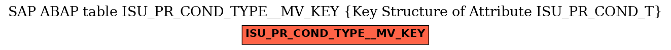 E-R Diagram for table ISU_PR_COND_TYPE__MV_KEY (Key Structure of Attribute ISU_PR_COND_T)