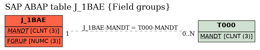 E-R Diagram for table J_1BAE (Field groups)