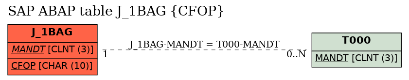 E-R Diagram for table J_1BAG (CFOP)