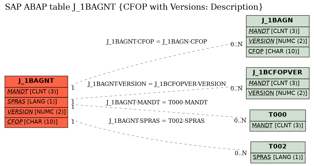 E-R Diagram for table J_1BAGNT (CFOP with Versions: Description)