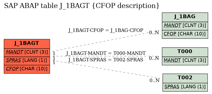 E-R Diagram for table J_1BAGT (CFOP description)