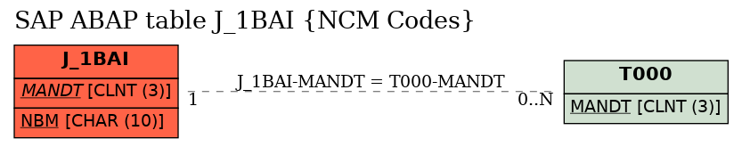 E-R Diagram for table J_1BAI (NCM Codes)