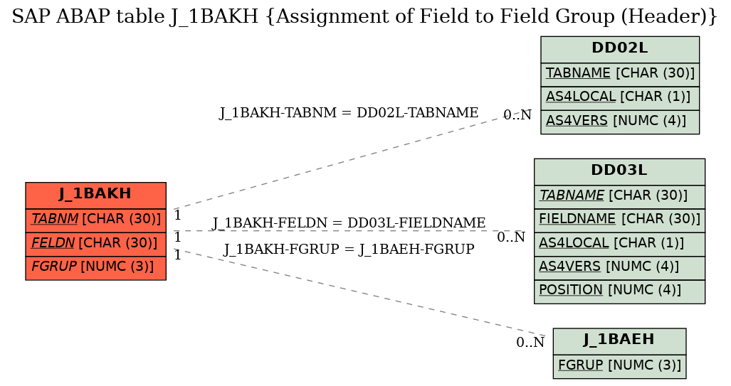 E-R Diagram for table J_1BAKH (Assignment of Field to Field Group (Header))