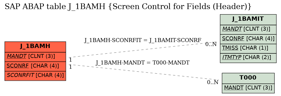 E-R Diagram for table J_1BAMH (Screen Control for Fields (Header))