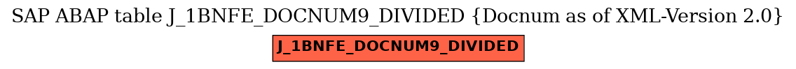 E-R Diagram for table J_1BNFE_DOCNUM9_DIVIDED (Docnum as of XML-Version 2.0)