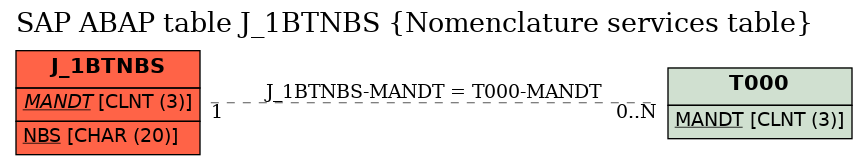 E-R Diagram for table J_1BTNBS (Nomenclature services table)