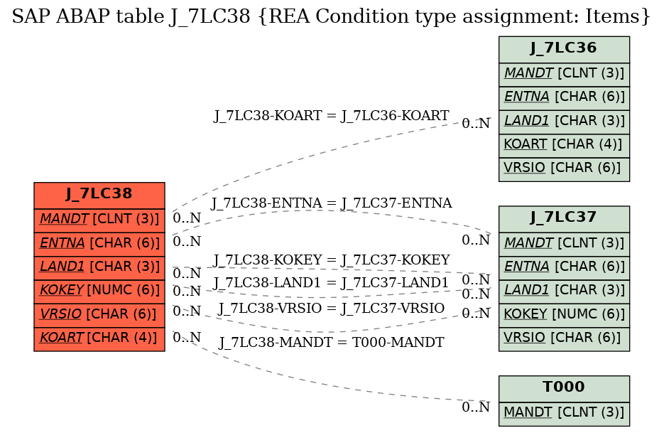 E-R Diagram for table J_7LC38 (REA Condition type assignment: Items)