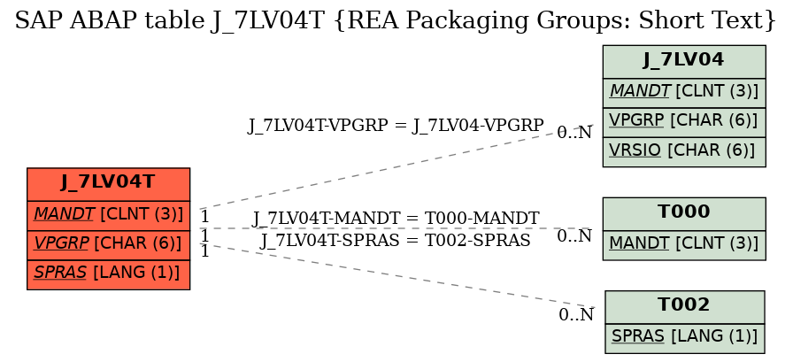 E-R Diagram for table J_7LV04T (REA Packaging Groups: Short Text)