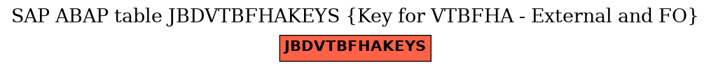 E-R Diagram for table JBDVTBFHAKEYS (Key for VTBFHA - External and FO)