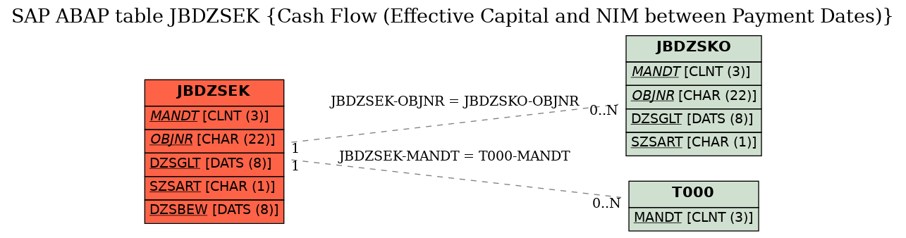 E-R Diagram for table JBDZSEK (Cash Flow (Effective Capital and NIM between Payment Dates))