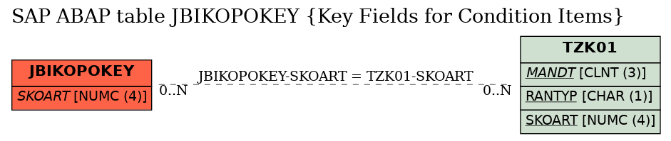 E-R Diagram for table JBIKOPOKEY (Key Fields for Condition Items)