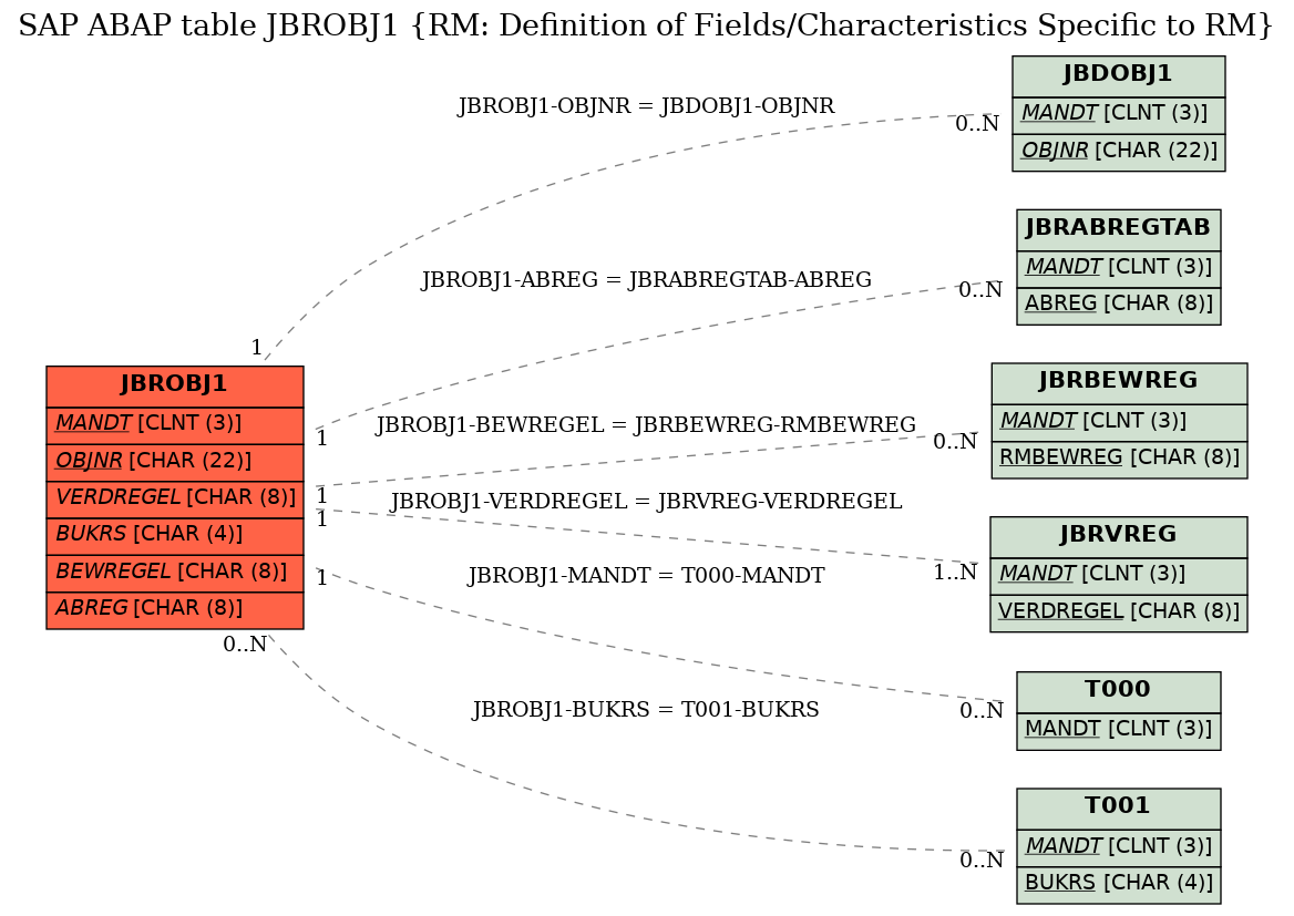 E-R Diagram for table JBROBJ1 (RM: Definition of Fields/Characteristics Specific to RM)