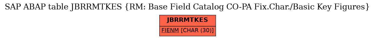 E-R Diagram for table JBRRMTKES (RM: Base Field Catalog CO-PA Fix.Char./Basic Key Figures)