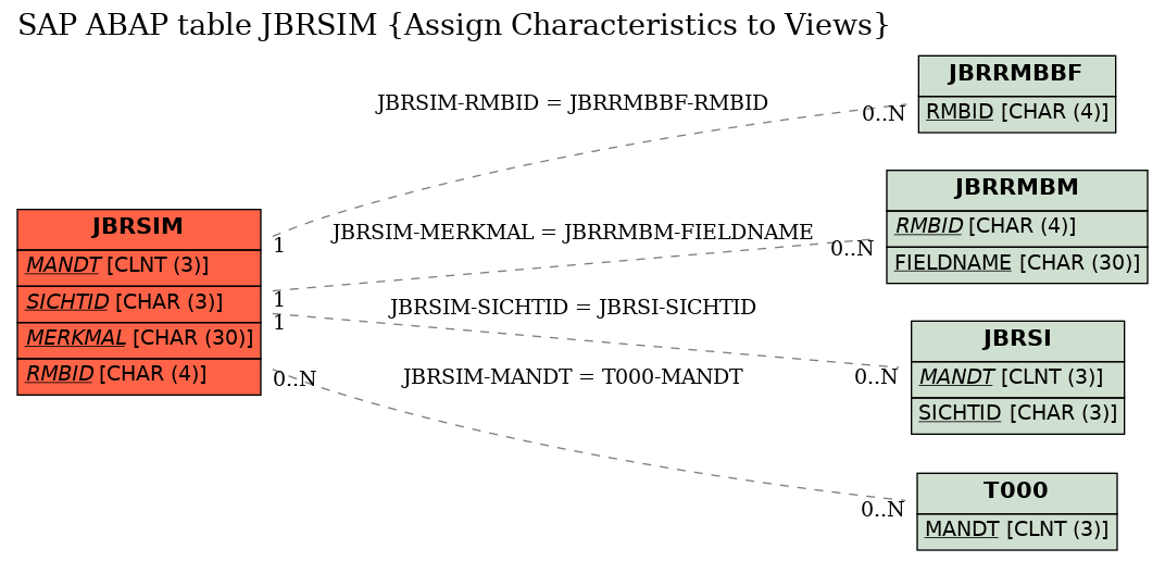 E-R Diagram for table JBRSIM (Assign Characteristics to Views)