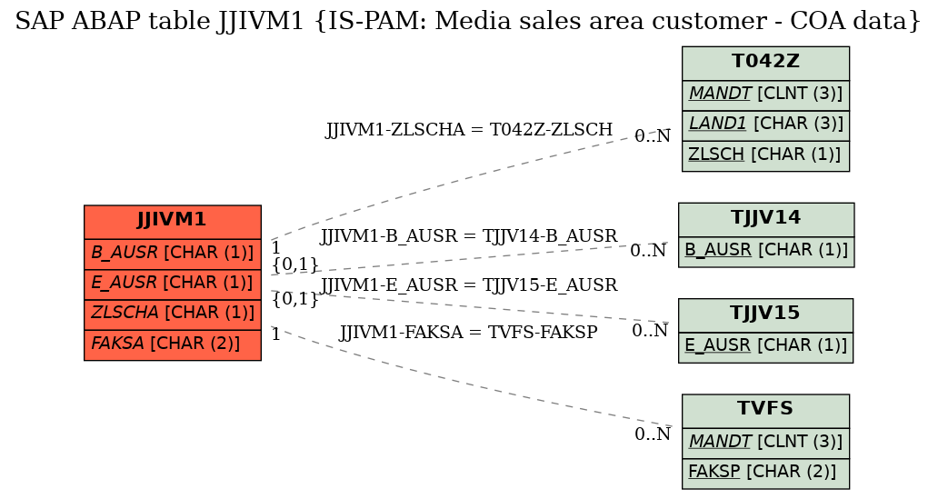 E-R Diagram for table JJIVM1 (IS-PAM: Media sales area customer - COA data)